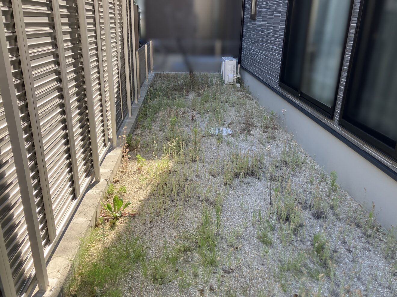 写真：庭リフォーム工事前の外観01- 福田造園の施工事例（愛知県名古屋市）